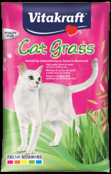 Tráva pro kočky Vitakraft Cat Grass 50g