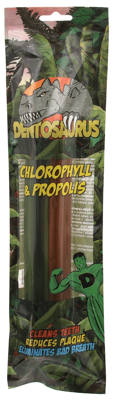 Tyčinka Dentosaurus s propolisem/chlorofylem Mix L 21cm 2ks
