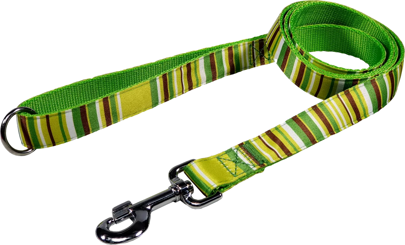 Vodítko BaF nylon proužky zelené 2,5x150cm