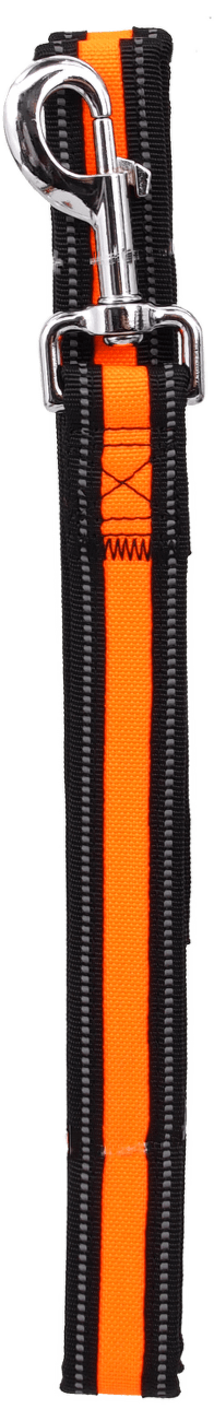 Vodítko Dog Fantasy Neoprene M/L oranžové 2,5x120cm