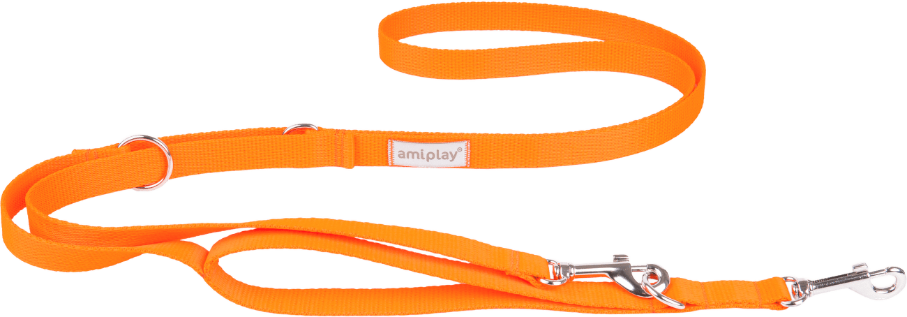Vodítko pro psy Amiplay Samba 7v1 nastavitelné oranžové S 100–200 cm × 1,5 cm