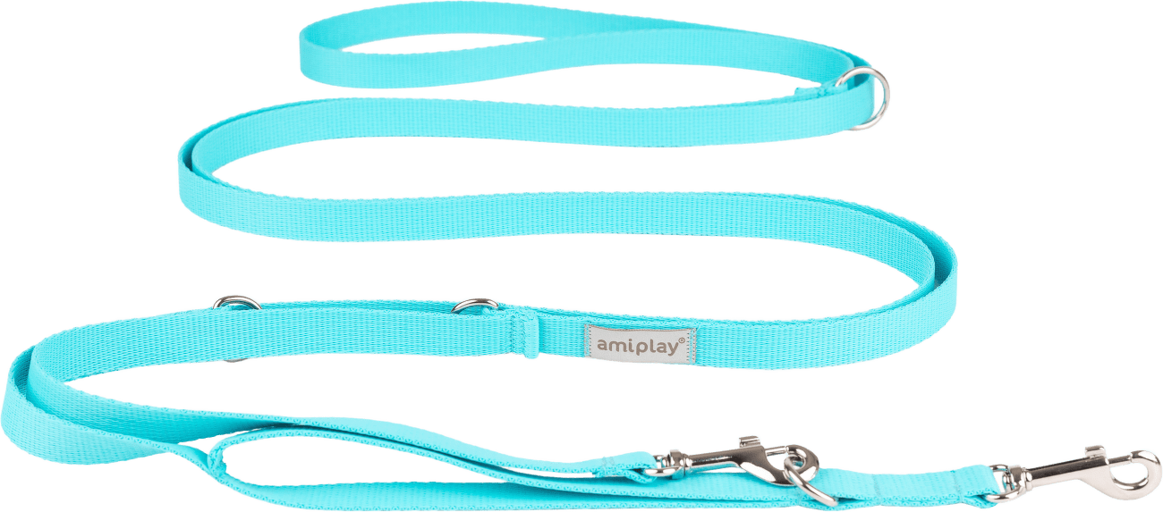 Vodítko pro psy Amiplay Samba 8v1 nastavitelné modré XL 200–400 cm × 2,5 cm