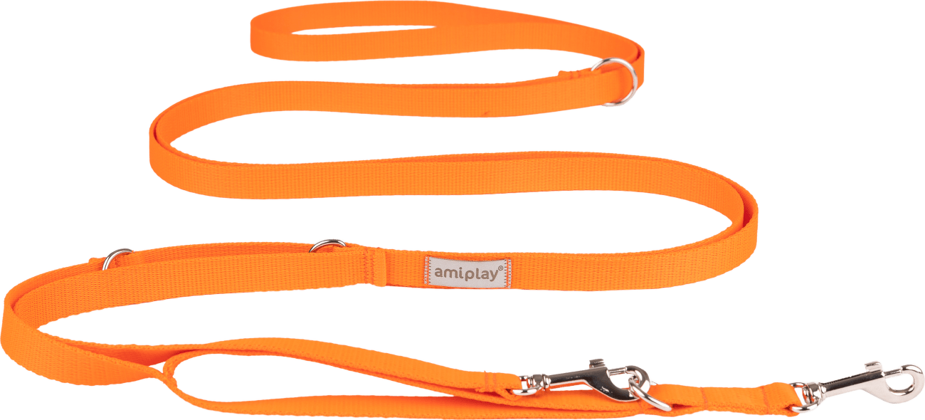 Vodítko pro psy Amiplay Samba 8v1 nastavitelné oranžové S 200–400 cm × 1,5 cm
