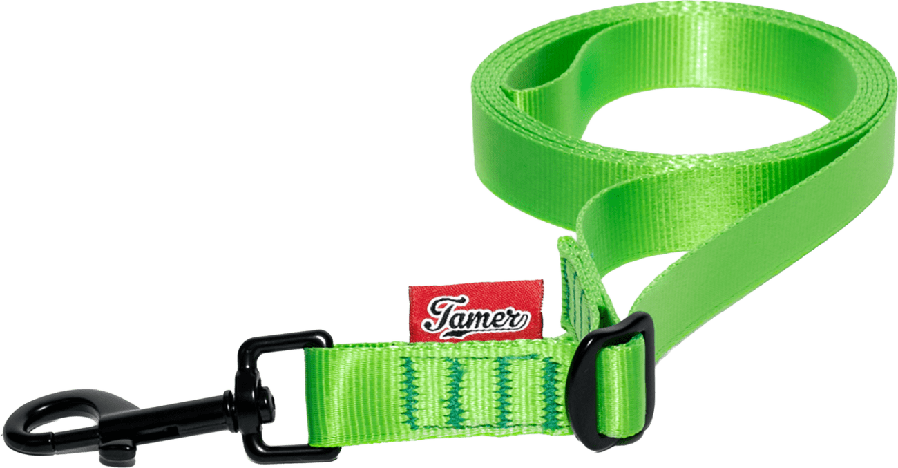 Vodítko Tamer Simple popruhové 2,5 m zelené