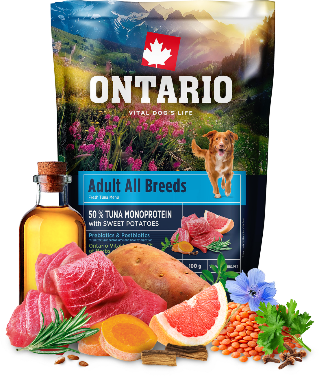 Vzorek - Ontario Adult All Breeds Monoprotein Tuna & Sweet Potatoes 100g