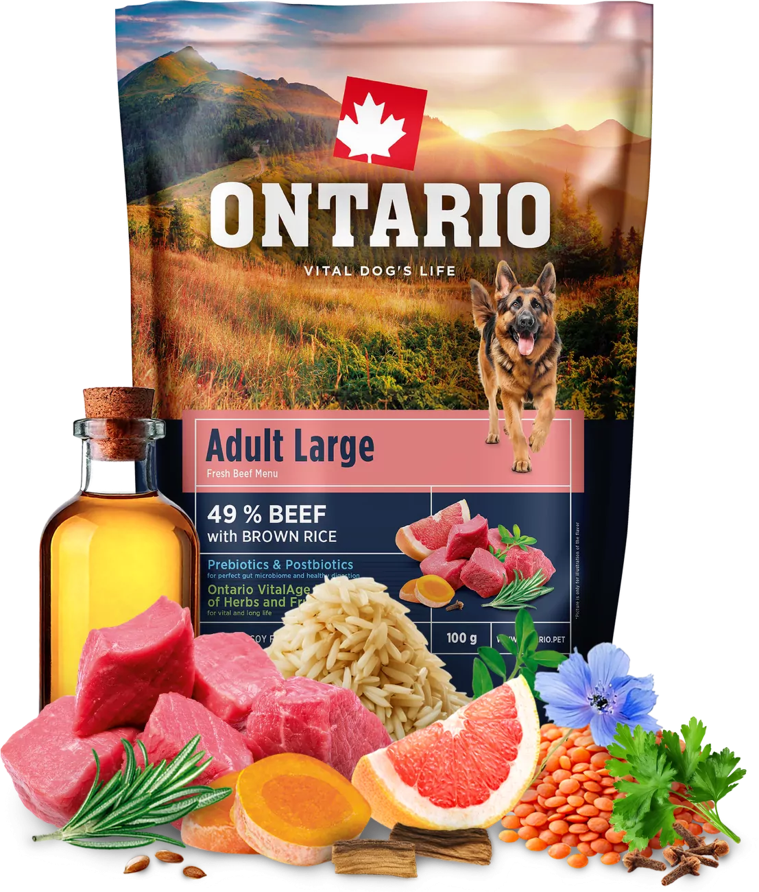 Vzorek - Ontario Adult Large Beef & Brown Rice 100g