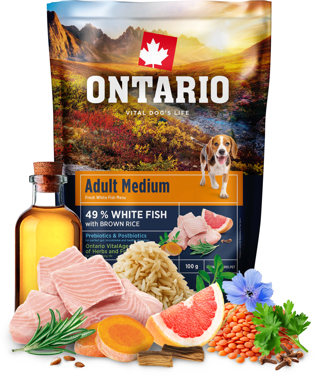 Vzorek - Ontario Adult Medium Fish & Brown Rice 100g