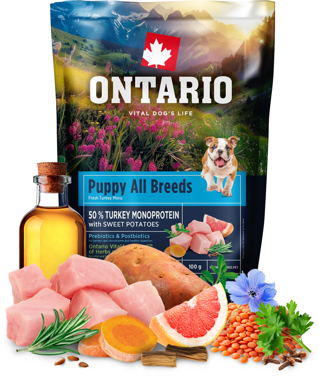 Vzorek - Ontario Puppy&Junior All Breeds Monoprotein Turkey & Sweet Potatoes 100g