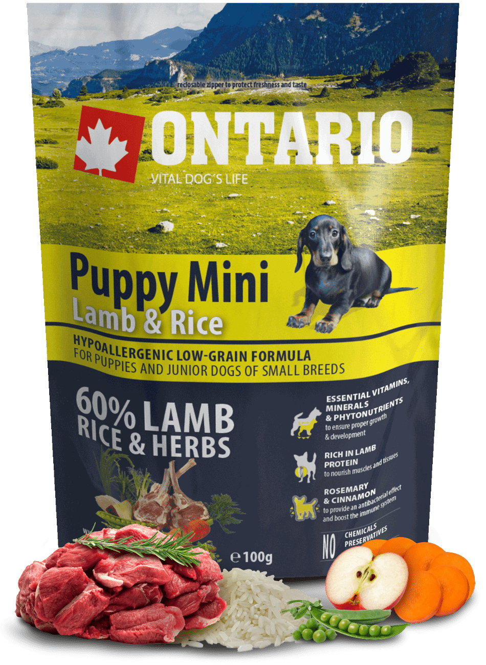 Vzorek - Ontario Puppy Mini Lamb & Rice 100g