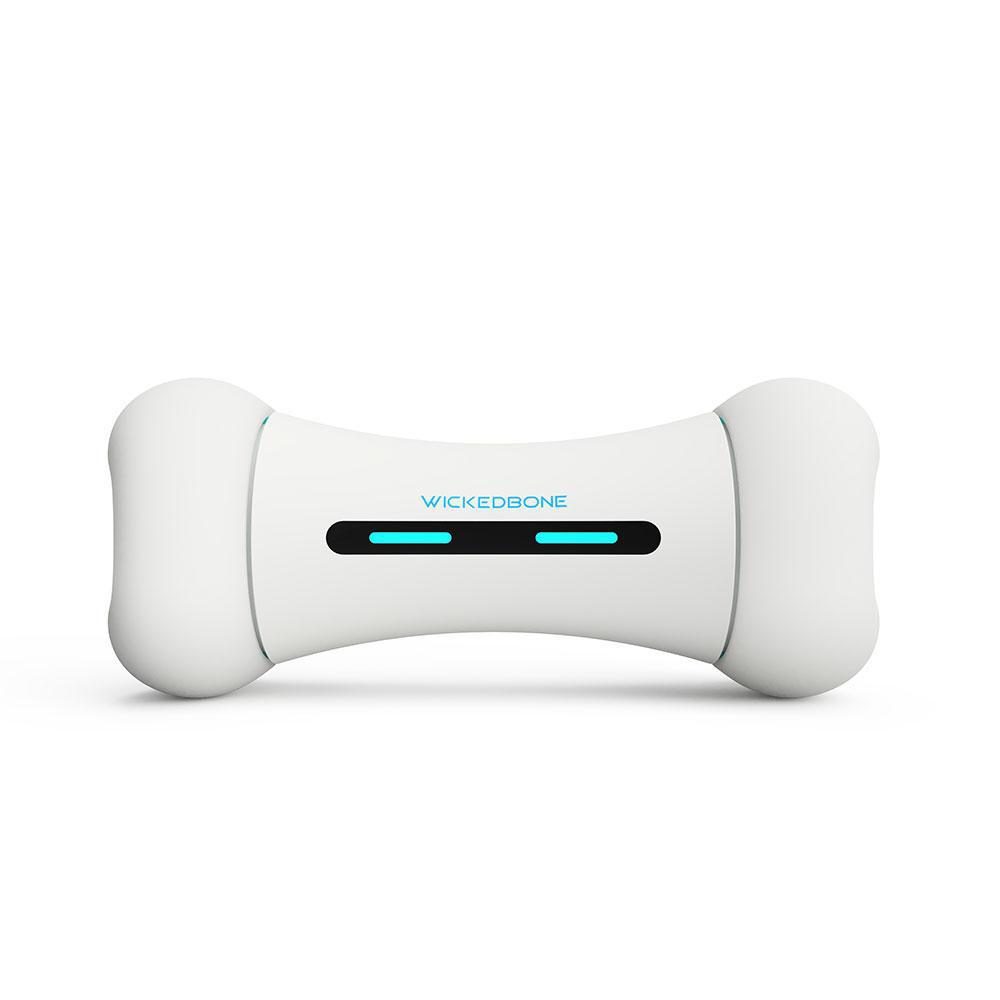 Wickedbone interaktivní kost