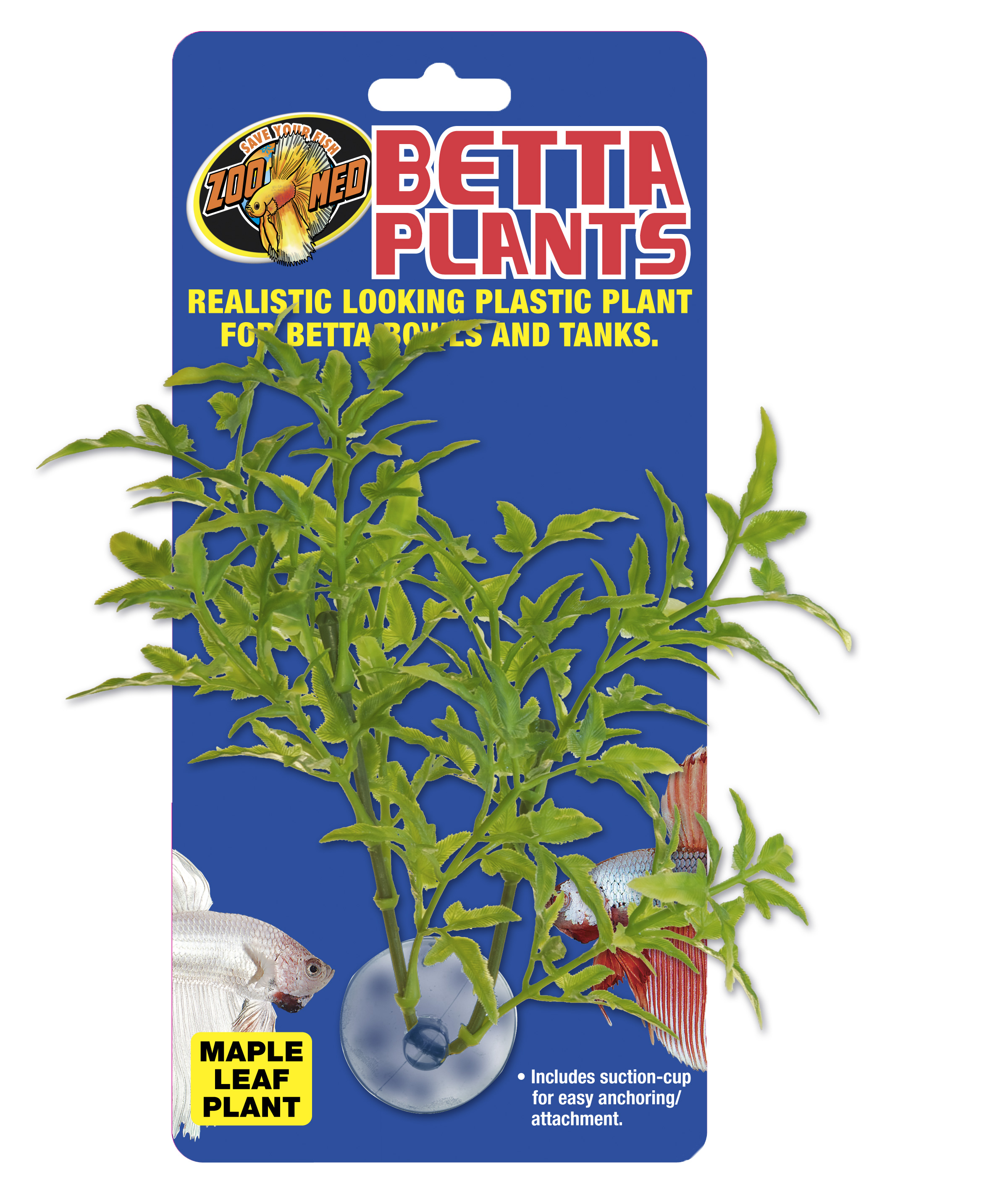 Zoomed Betta Plant – Javorový list
