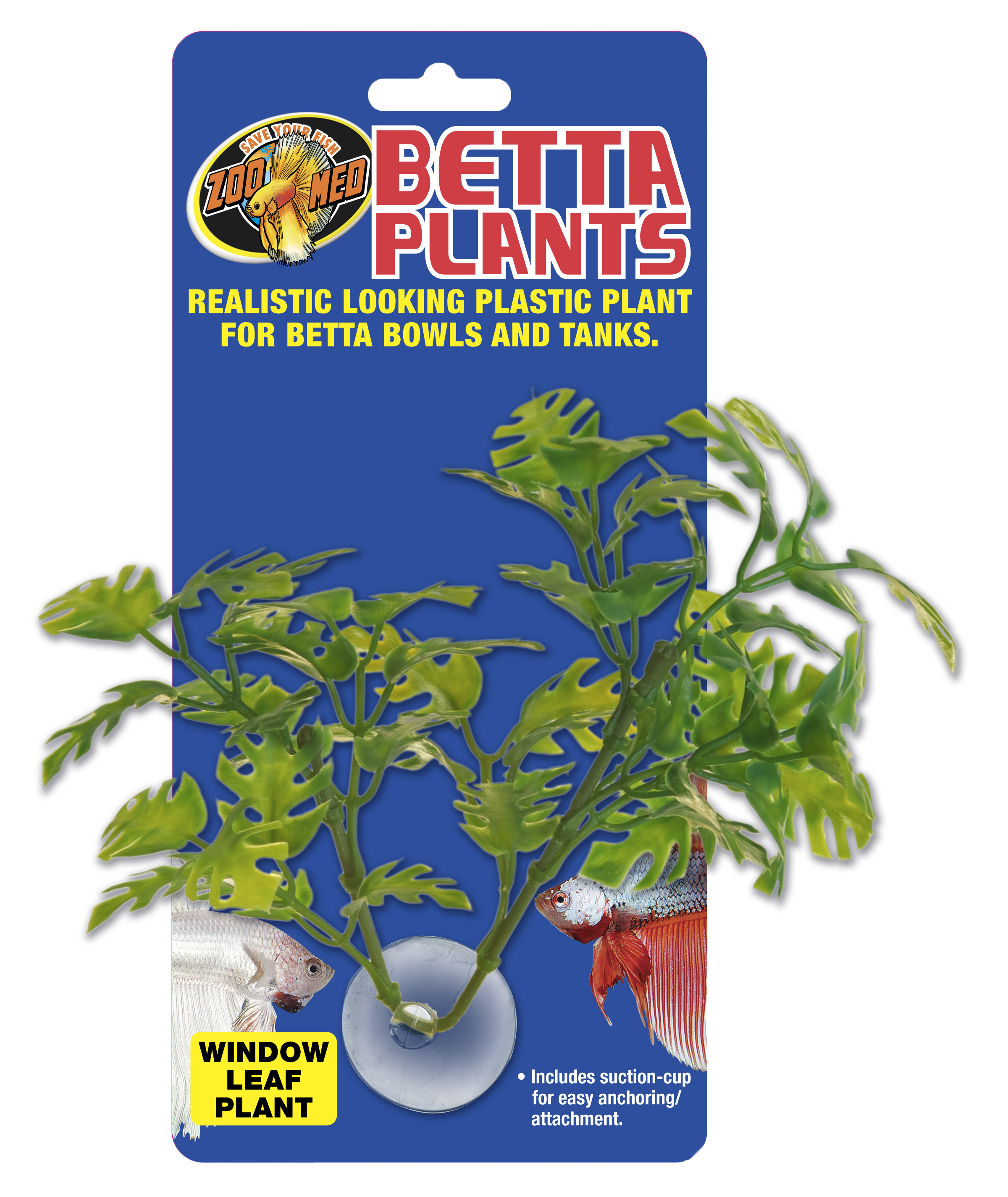 Zoomed Betta Plant – rostlinka na sklo