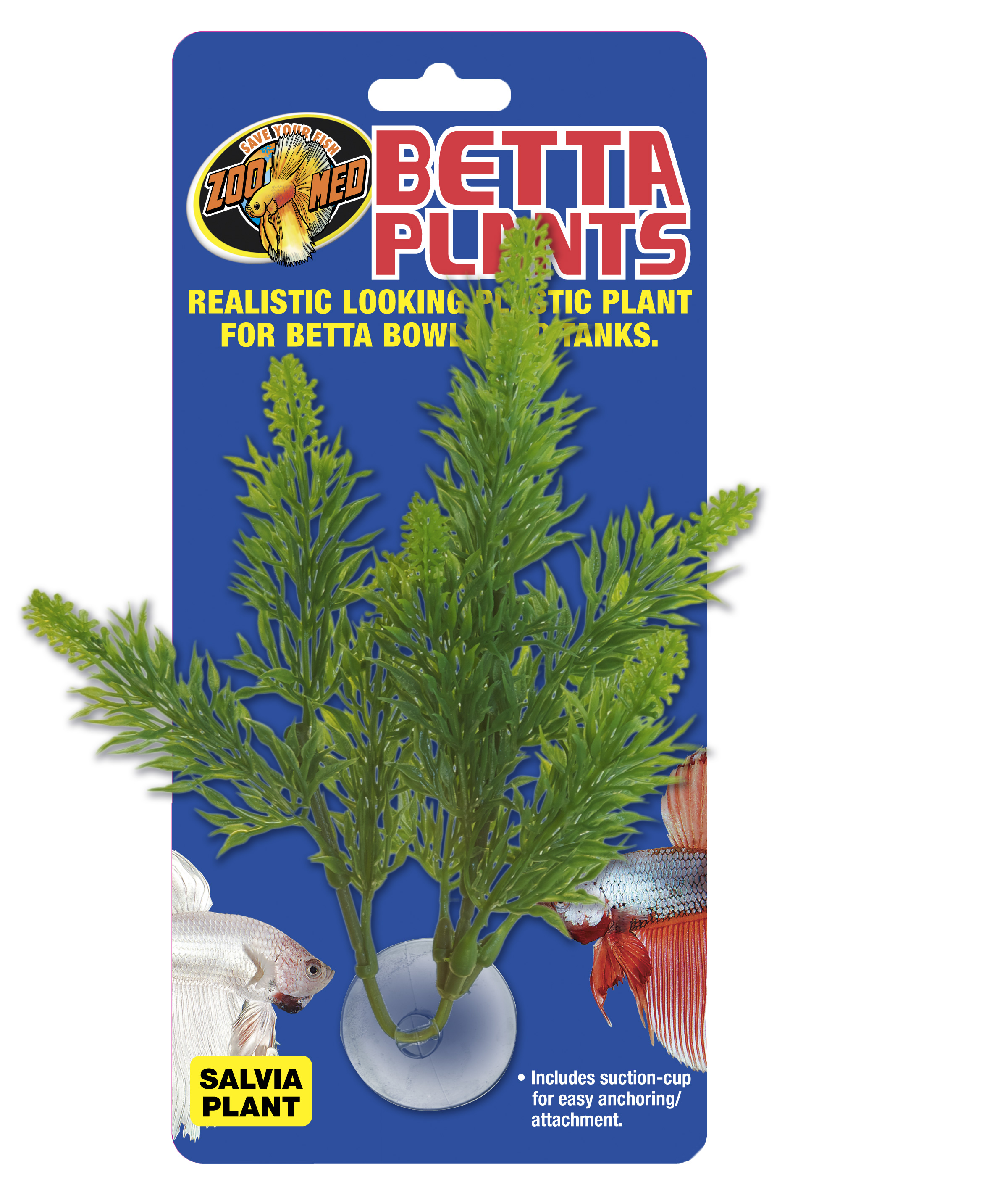 Zoomed Betta Plant – Šalvěj