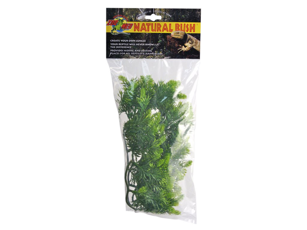 Zoomed Malaysian Fern – Přírodní keřová rostlina M