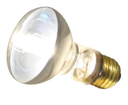 Zoomed REPTI halogenová lampa výhřevní 50 W